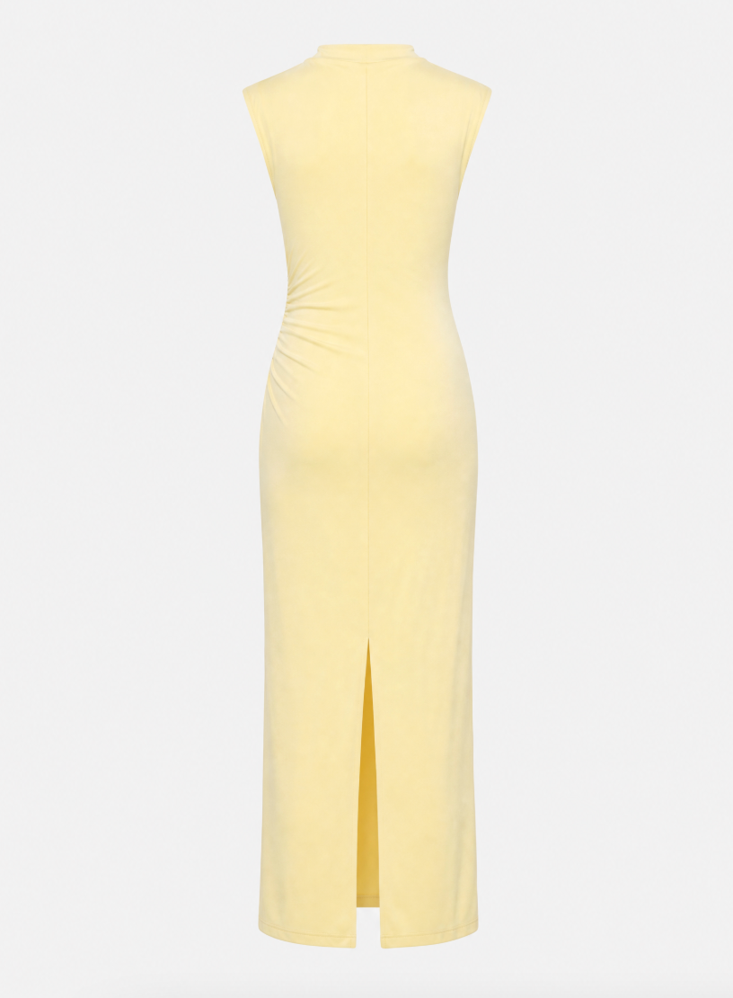 Sienna Stretchy Dress
