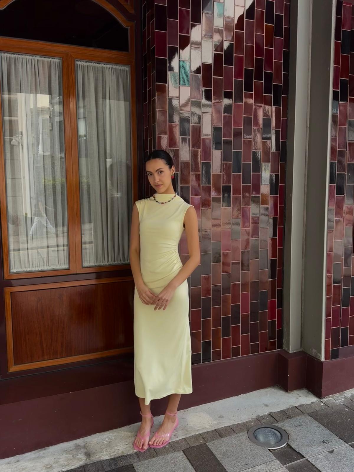 Sienna Stretchy Dress